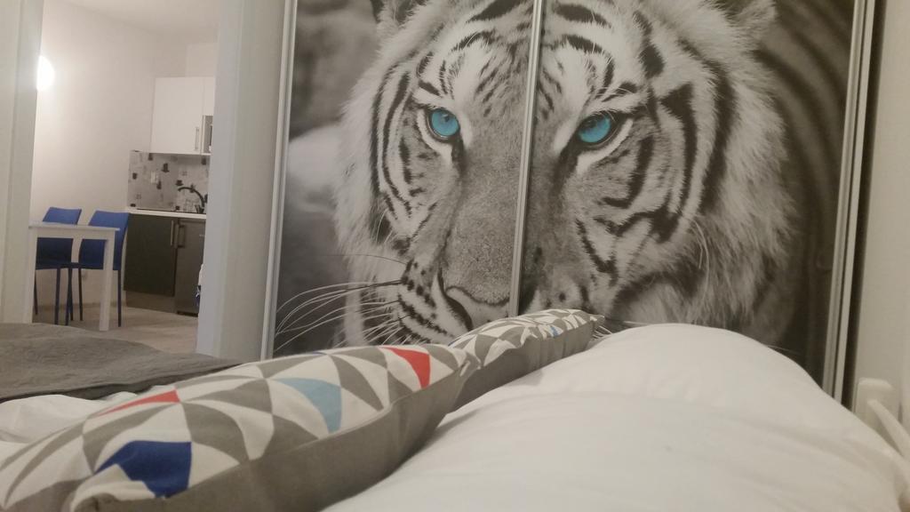 Bedroom Apartments Krzywoustego 14 ชเตชชิน ห้อง รูปภาพ